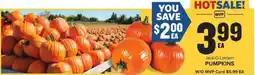 Food Lion MVP Jack-O-Lantern Pumpkins offer