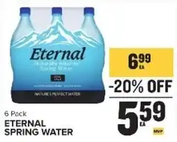 Food Lion Eternal spring water offer