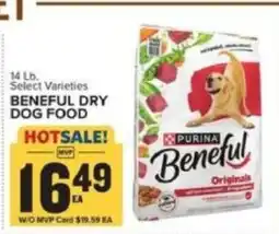 Food Lion Purina Beneful Originals offer