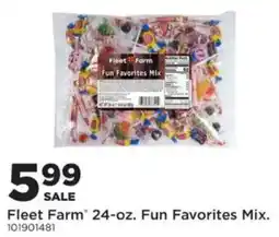 Mills Fleet Farm Fleet Farm Fun Favorites Mix offer