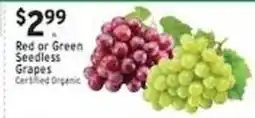 Met Foodmarkets Red or Green Seedless Grapes offer
