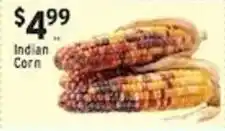 Met Foodmarkets Indian Corn offer