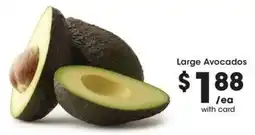 QFC Large Avocados offer