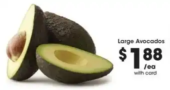 Large Avocados