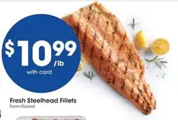QFC Fresh Steelhead Fillets offer