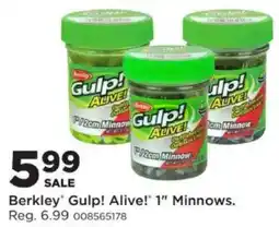 Mills Fleet Farm Berkley Gulp! Alive! 1" Minnows. offer