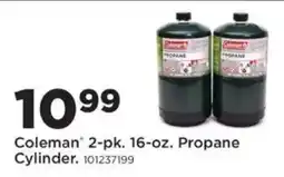 Mills Fleet Farm Coleman 2-pk. Propane Cylinder offer