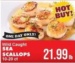 Sullivan's Foods Wild Caught Sea Scallops offer