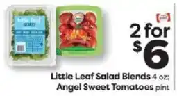 Weis Markets Little Leaf Salad Blends offer