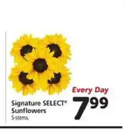 Safeway Signature SELECT Sunflowers offer