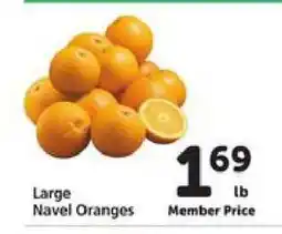 Safeway Large Navel Oranges offer