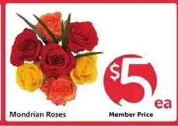Safeway Mondrian Roses offer