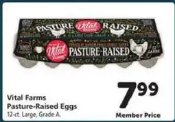 Safeway Vital Farms Pasture Raised Eggs offer