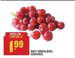 Food Lion Red Seedless Grapes offer