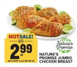 Food Lion Nature's Promise Jumbo Chicken Breast offer