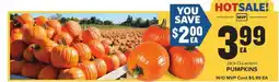 Food Lion Jack-O-Lantern Pumpkins offer