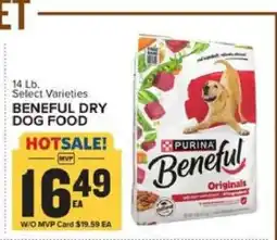 Food Lion Beneful Dry Dog Food offer