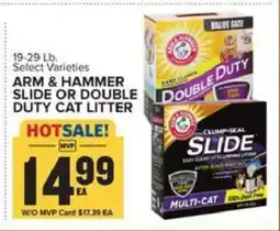 Food Lion ARM & HAMMER SLIDE OR DOUBLE DUTY CAT LITTER offer