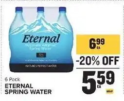 Food Lion Eternal Spring Water offer