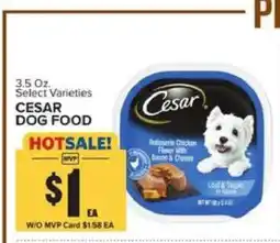 Food Lion Cesar Dog Food offer