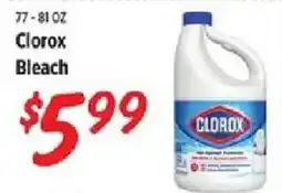Rouses Clorox bleach offer