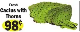 Sellers Bros Fresh Cactus with Thorns offer