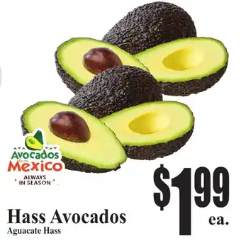 Hass Avocados