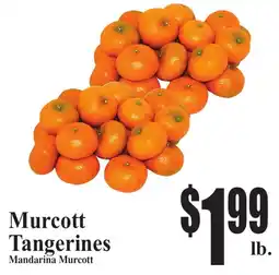 Baja Ranch Murcott Tangerines offer