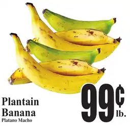 Baja Ranch Plantain Banana offer