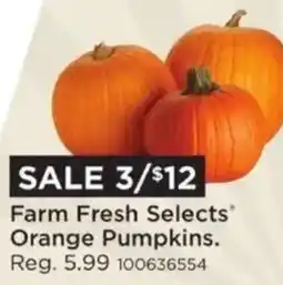 Mills Fleet Farm Farm Fresh Selects Orange Pumpkins offer