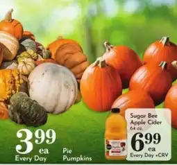 Pavilions Sugar Bee Apple Cider offer