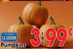 Valley Marketplace Pumpkins offer