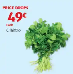 Aldi Cilantro offer