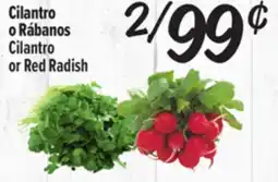 El Super Fresh Cilantro or Red Radish offer