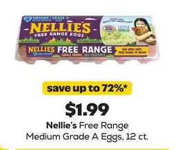 Grocery Outlet Nellie's Free Range Medium Grade A Eggs offer