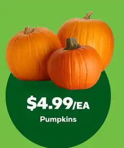Grocery Outlet Pumpkins offer