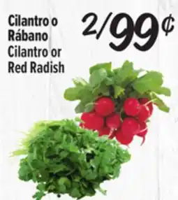El Super Cilantro o Rábano offer