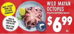 Vallarta Supermarkets WILD MAYAN OCTOPUS / PULPO ENTERO MAYA offer