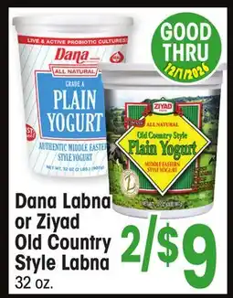 Jewel-Osco Dana Labna or Ziyad Old Country Style Labna offer