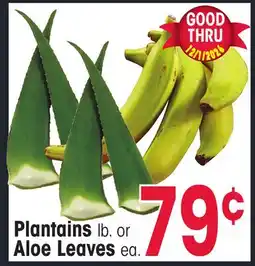 Jewel-Osco Plantains lb. or Aloe Leaves ea offer
