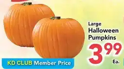 Eurofresh Market Large Halloween Pumpkins offer