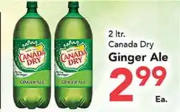 Eurofresh Market 2 ltr. Canada Dry Ginger Ale offer