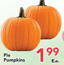 Eurofresh Market Pie Pumpkins offer