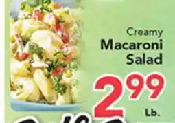 Eurofresh Market Creamy Macaroni Salad offer