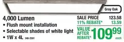 Menards 4,000 Lumen 1W x offer