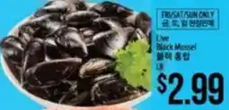 Hmart Live Black Mussel offer