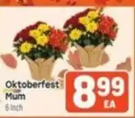 Tony’s Fresh Market Oktoberfest Mum offer