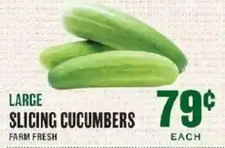 Lowes Foods Large Slicing Cucumbers offer