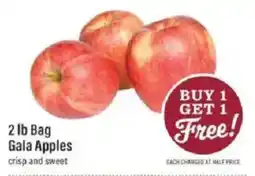 Lowes Foods Gala Apples offer