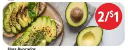 Homeland Market Hass Avocados offer